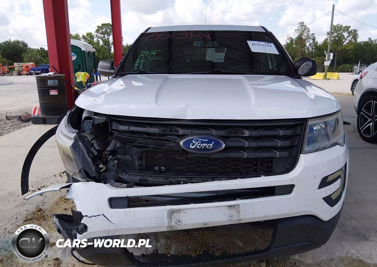 2018 Ford Police Interceptor Utility VIN:1FM5K8AR6JGC56563 - 13