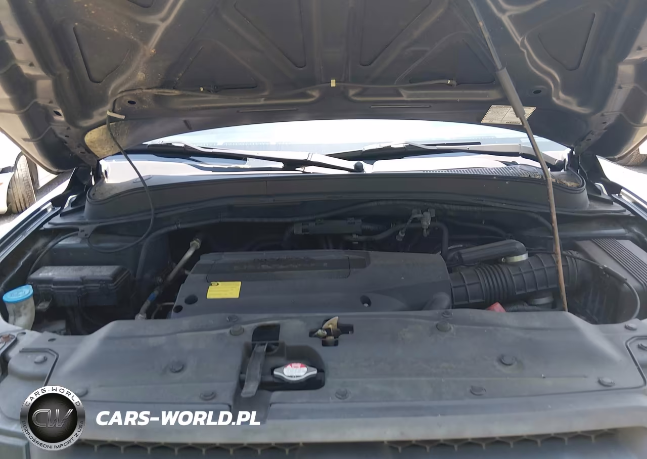 2004 Honda Pilot Ex-L VIN:5FNYF18564B006724 - 10