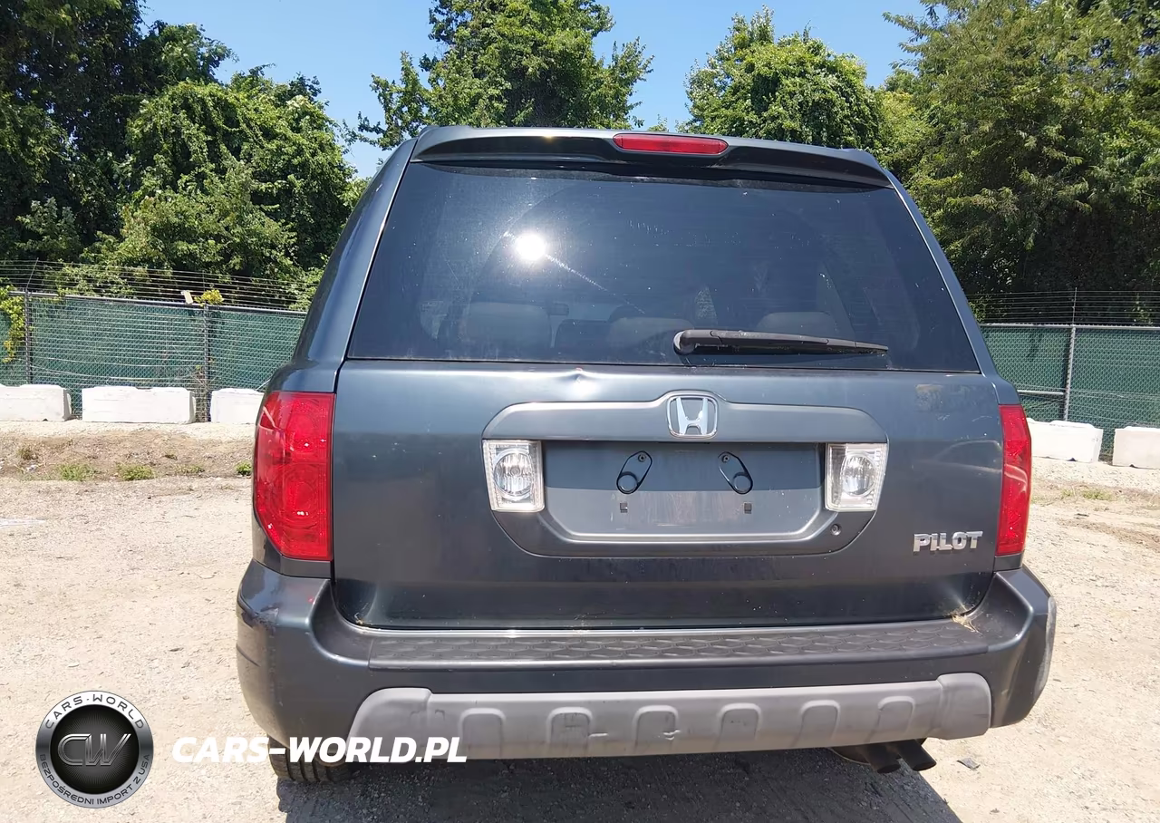 2004 Honda Pilot Ex-L VIN:5FNYF18564B006724 - 13
