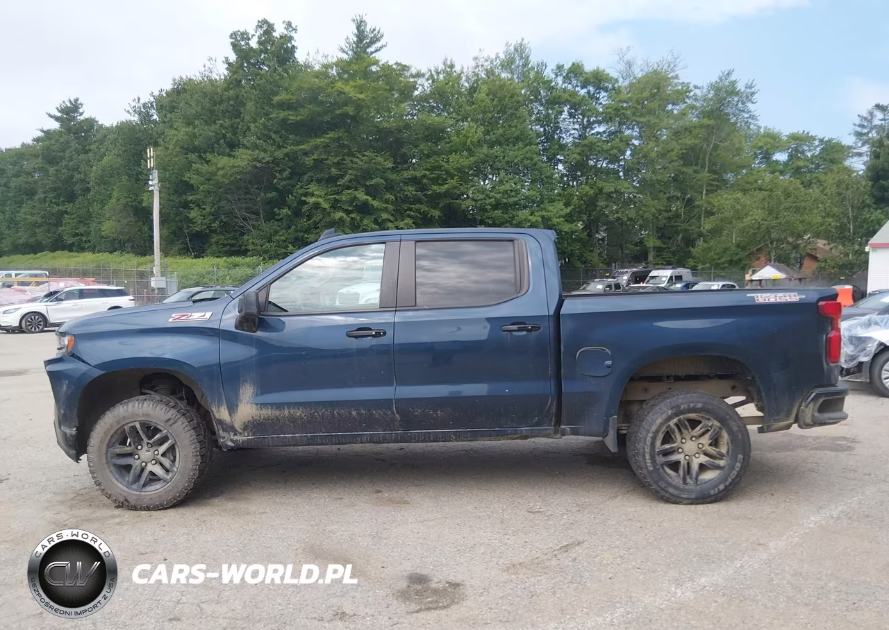 2019 Chevrolet Silverado 1500 Lt Trail Boss VIN:3GCPYFED0KG198860 - 15