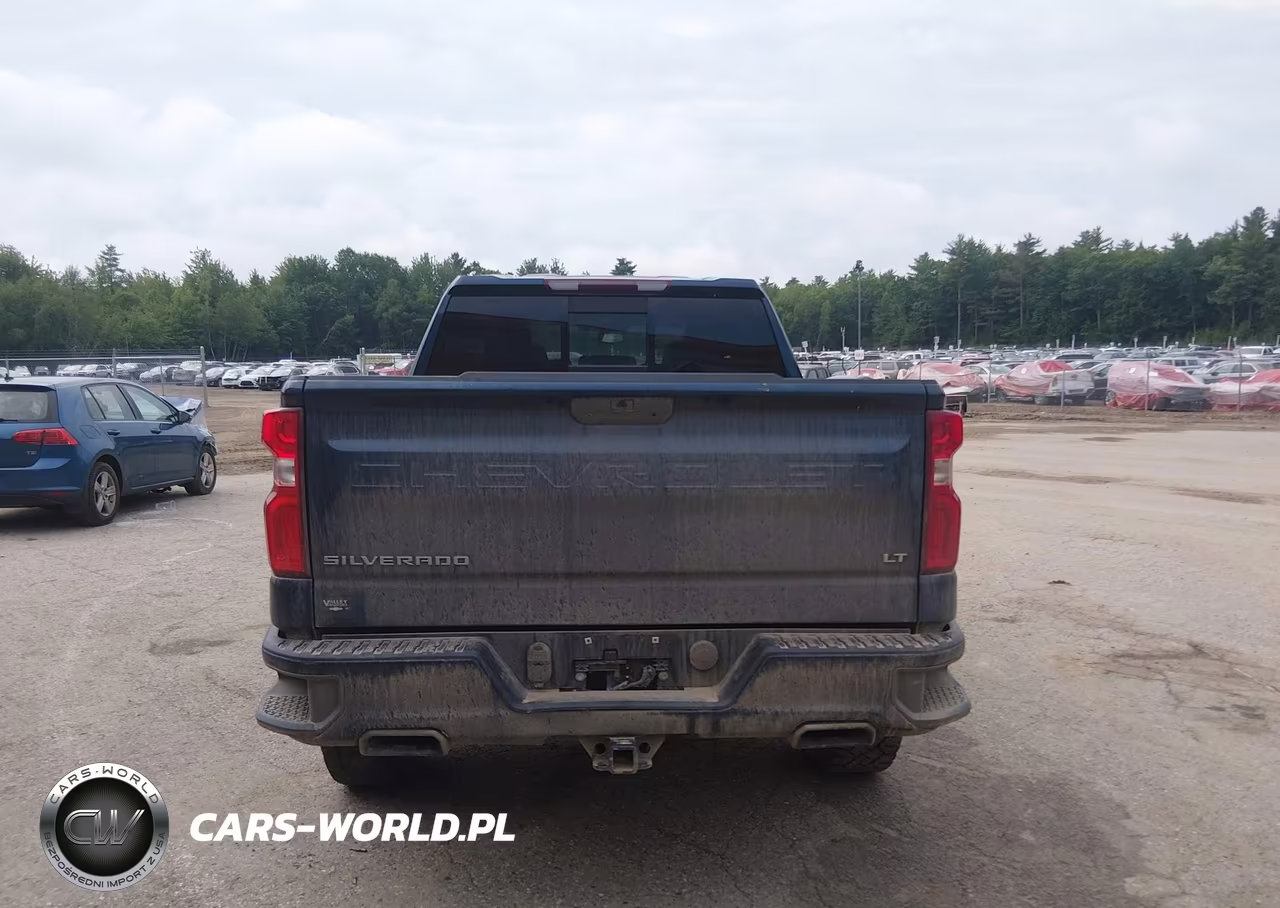 2019 Chevrolet Silverado 1500 Lt Trail Boss VIN:3GCPYFED0KG198860 - 17