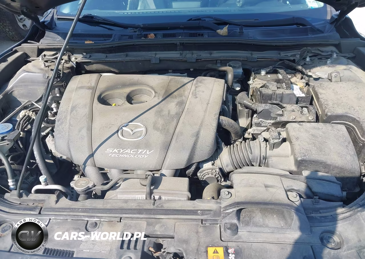 2014 Mazda Mazda3 I Touring VIN:JM1BM1L78E1170684 - 10