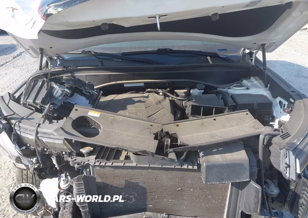 2023 Hyundai Palisade Sel VIN:KM8R4DGEXPU573586 - 10