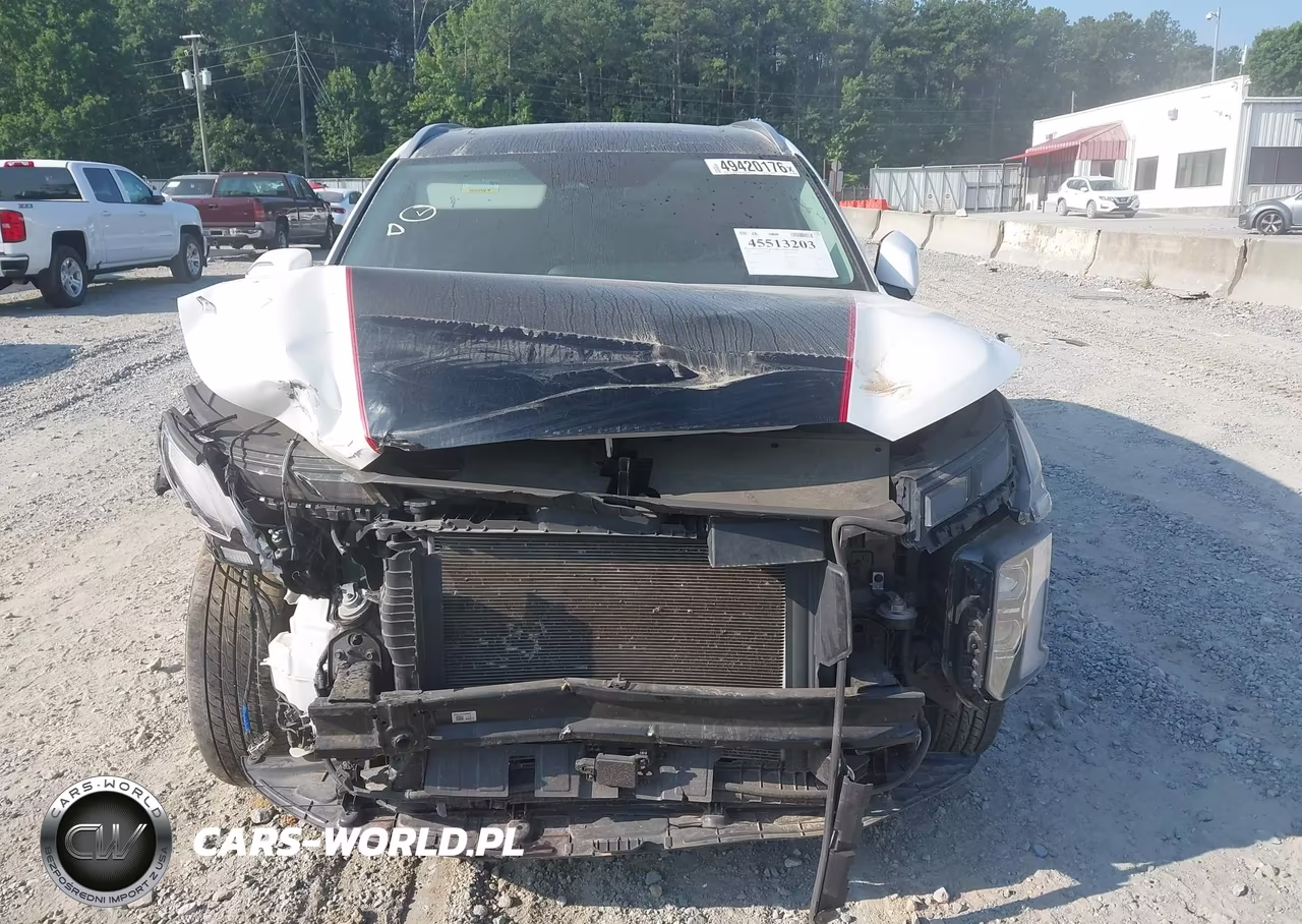 2023 Hyundai Palisade Sel VIN:KM8R4DGEXPU573586 - 12