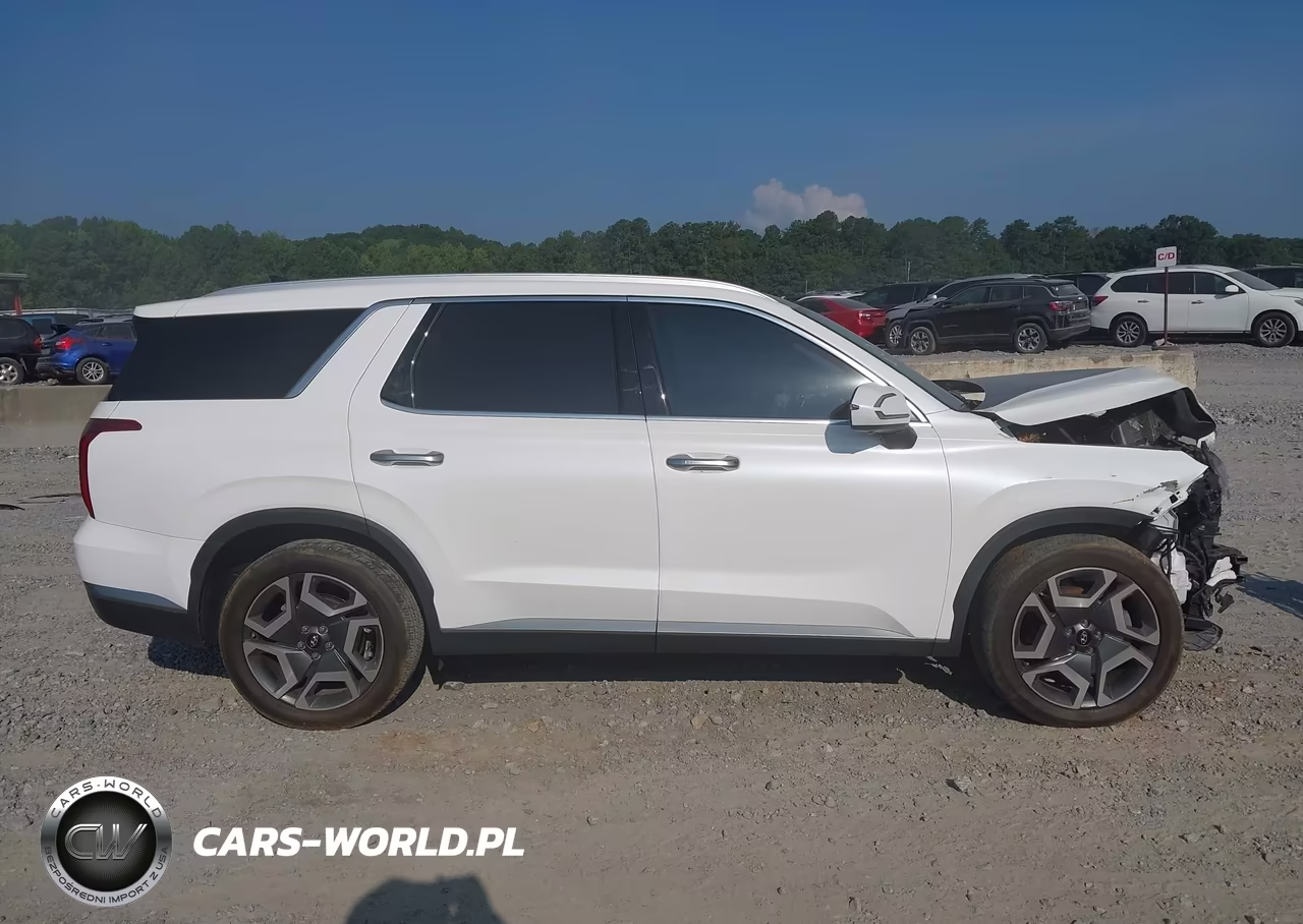 2023 Hyundai Palisade Sel VIN:KM8R4DGEXPU573586 - 13
