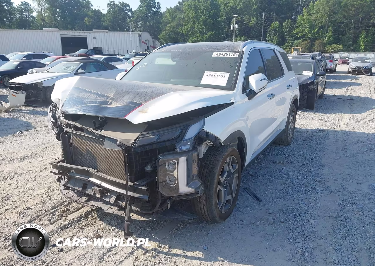 2023 Hyundai Palisade Sel VIN:KM8R4DGEXPU573586 - 2