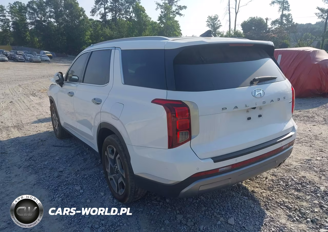 2023 Hyundai Palisade Sel VIN:KM8R4DGEXPU573586 - 3