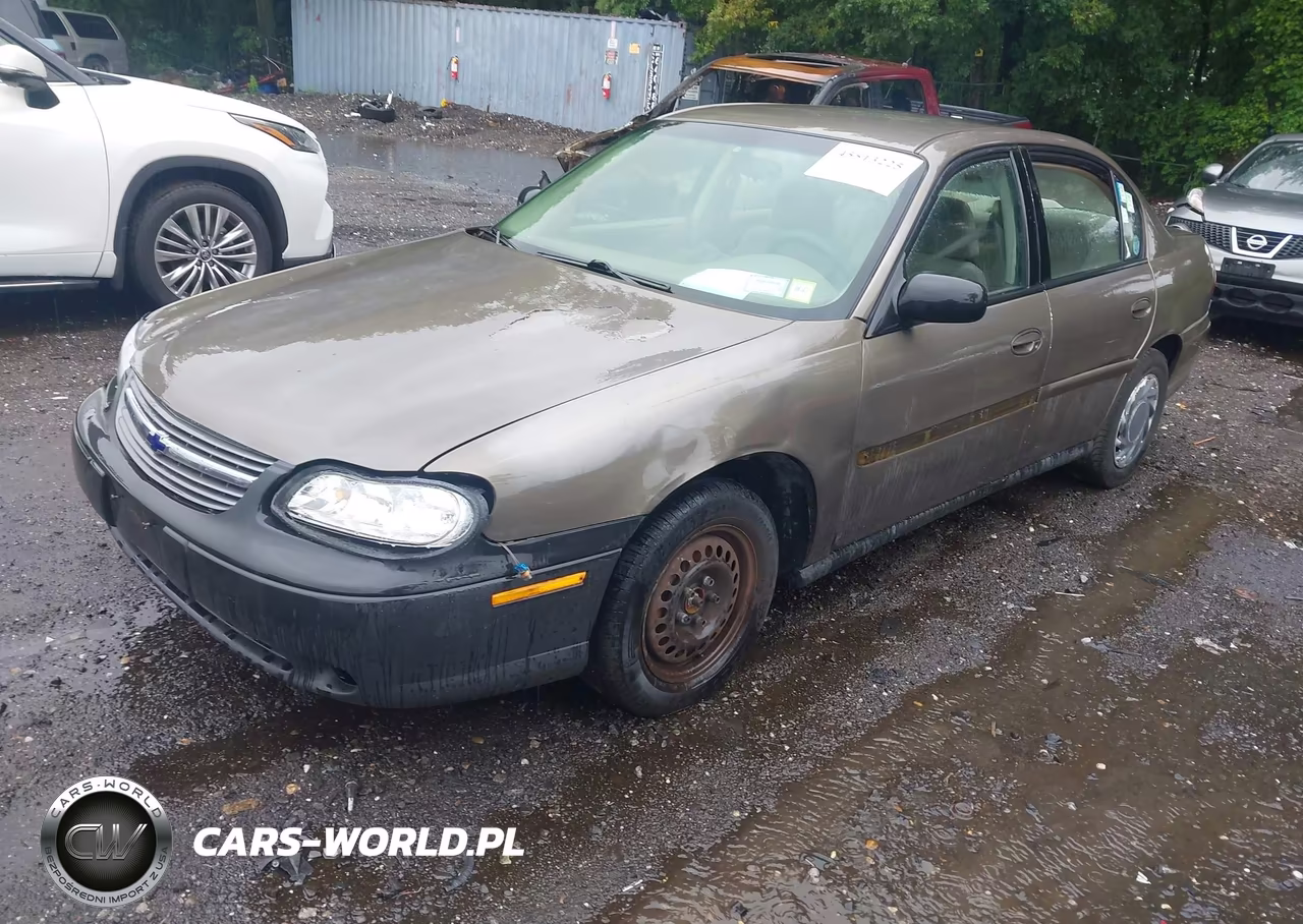 2002 Chevrolet Malibu VIN:1G1ND52J72M681825 - 2