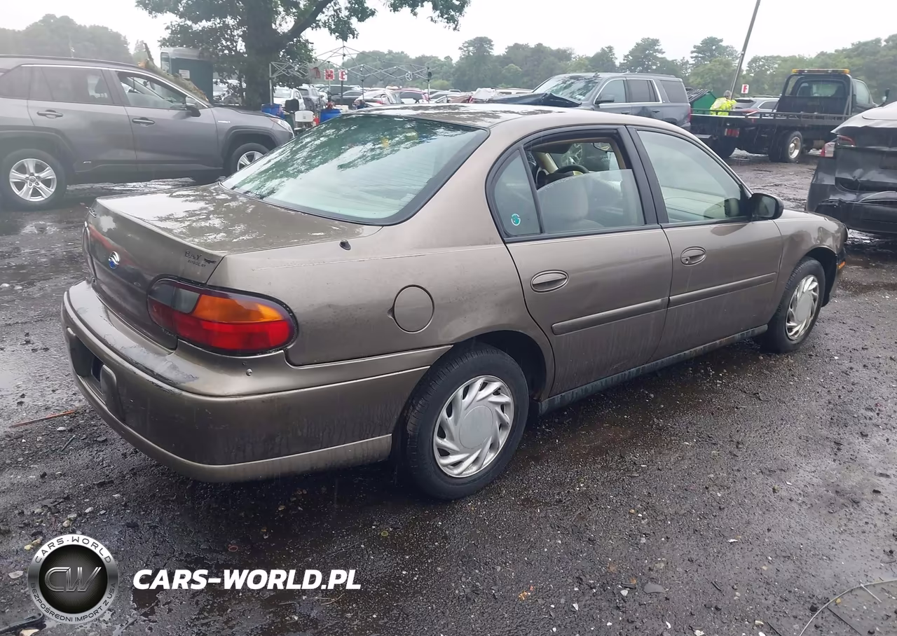 2002 Chevrolet Malibu VIN:1G1ND52J72M681825 - 4
