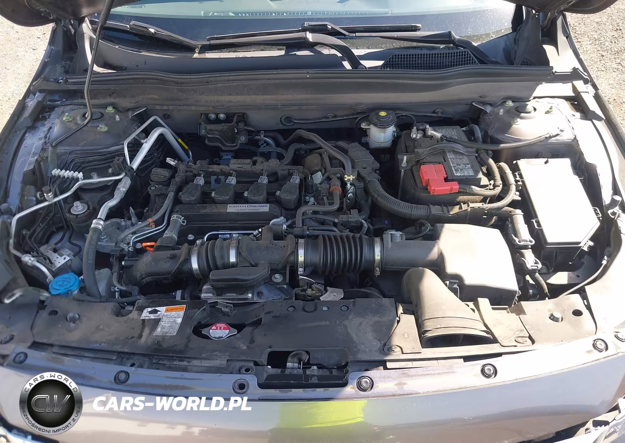 2020 Honda Accord Ex VIN:1HGCV1F45LA117667 - 10
