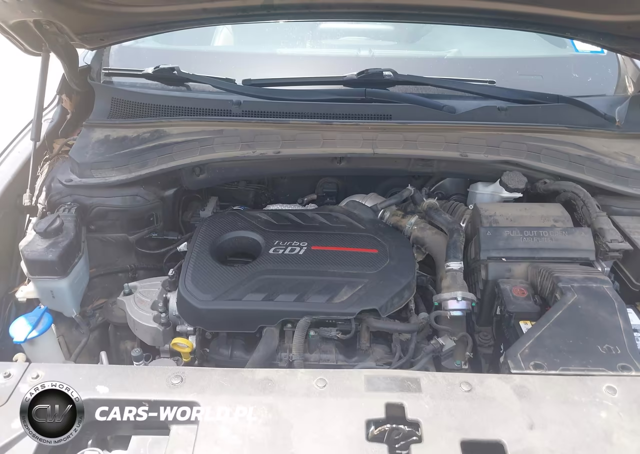 2020 Hyundai Santa Fe Sel 2.0T VIN:5NMS33AAXLH221649 - 10