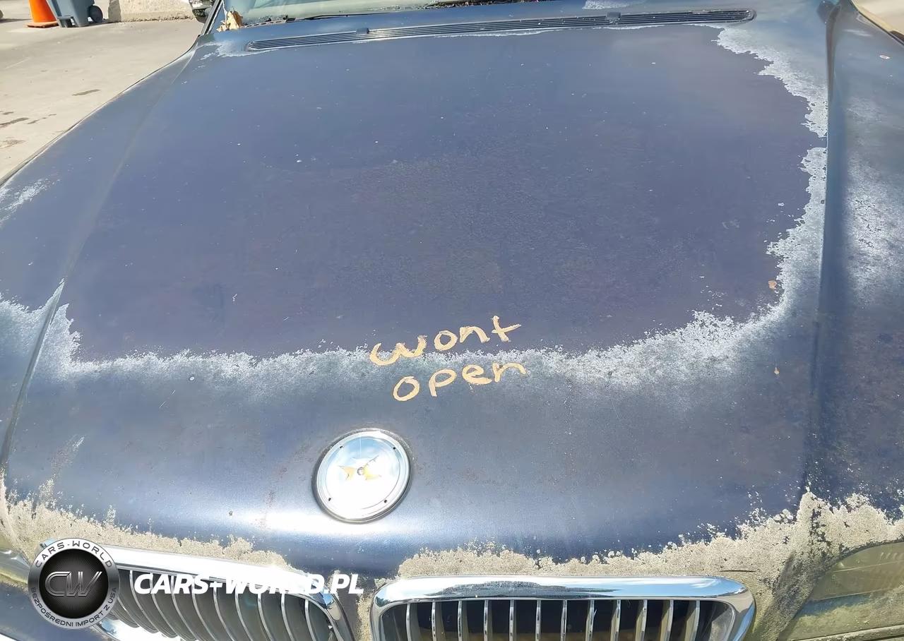 1997 BMW 740Il VIN:WBAGJ8322VDM00632 - 10