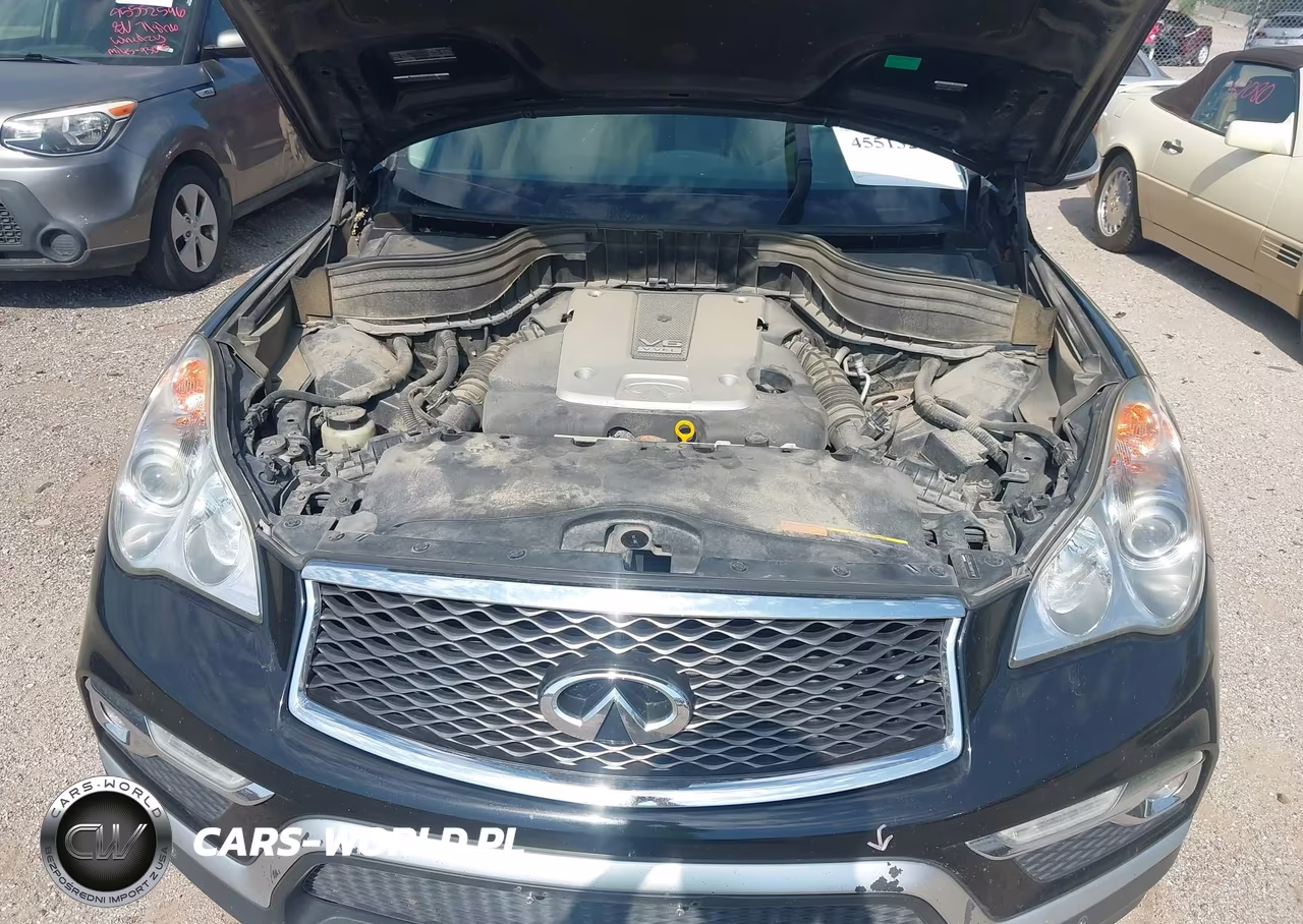 2016 Infiniti Qx50 VIN:JN1BJ0RR2GM270523 - 10