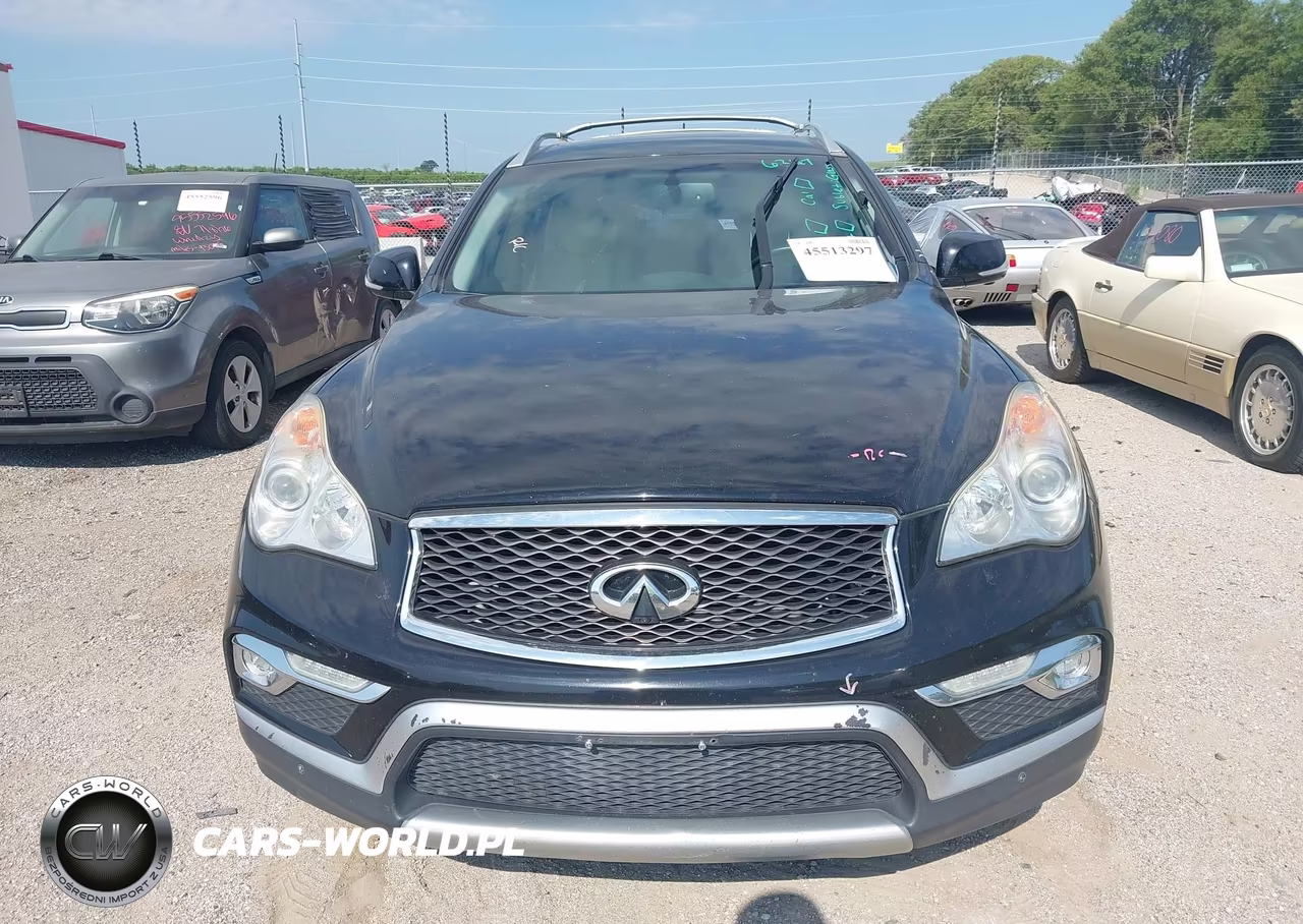 2016 Infiniti Qx50 VIN:JN1BJ0RR2GM270523 - 13