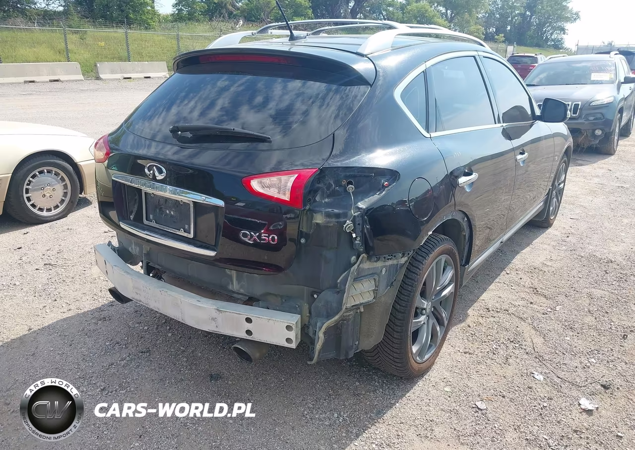 2016 Infiniti Qx50 VIN:JN1BJ0RR2GM270523 - 4