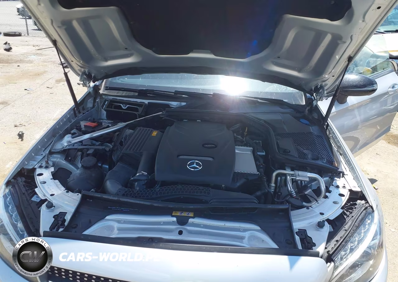 2018 Mercedes-Benz C 300 VIN:WDDWJ4JB7JF743578 - 10