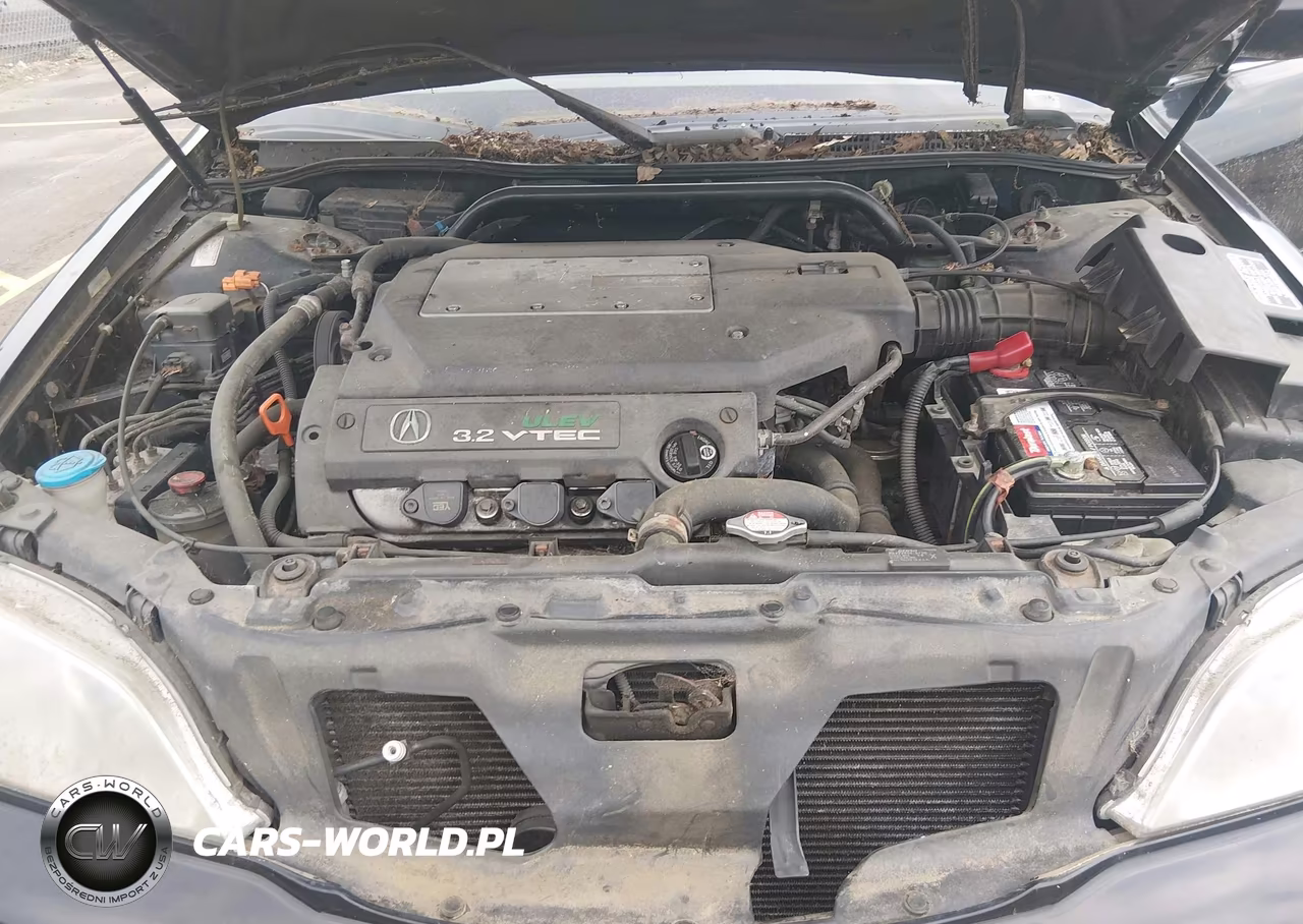 2000 Acura Tl 3.2 VIN:19UUA5662YA025724 - 10