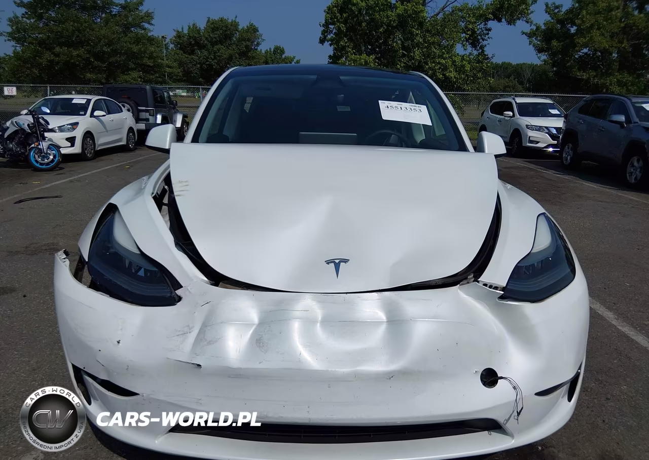 2023 Tesla Model Y Performance Dual Motor All-Wheel Drive VIN:7SAYGDEF1PF868932 - 10
