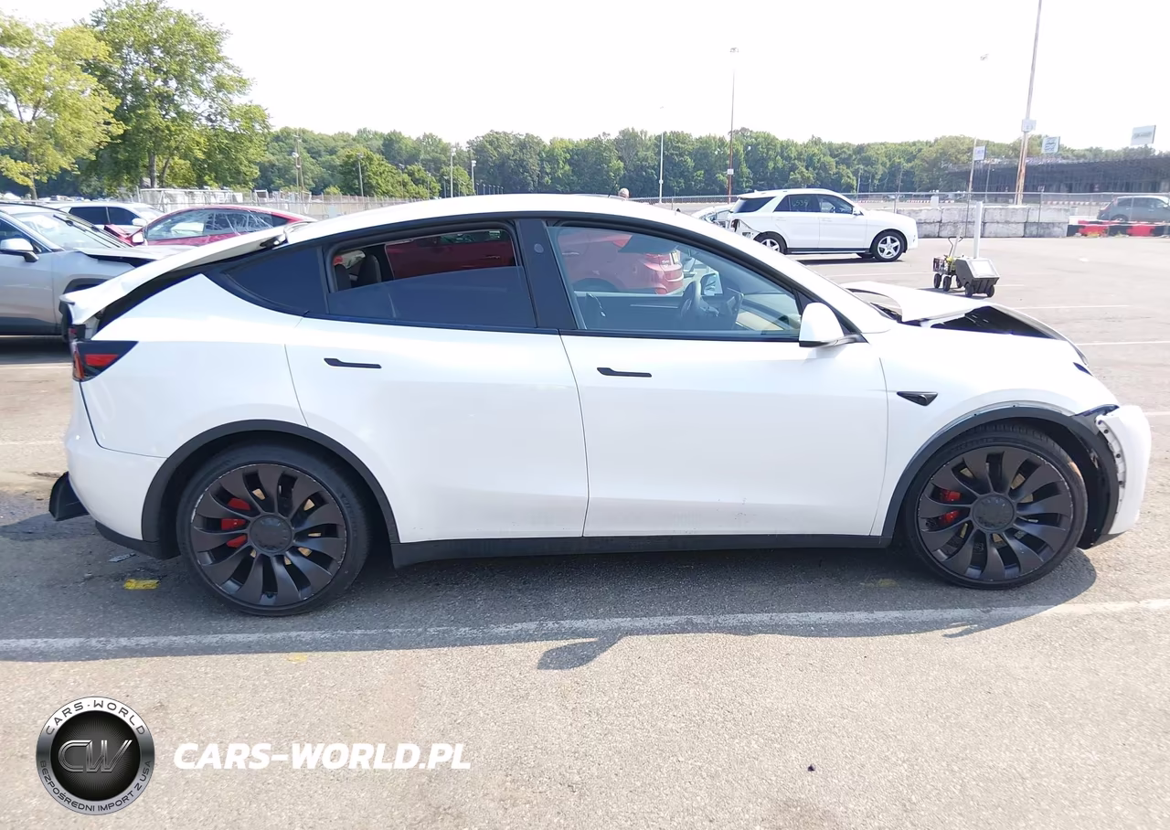 2023 Tesla Model Y Performance Dual Motor All-Wheel Drive VIN:7SAYGDEF1PF868932 - 11