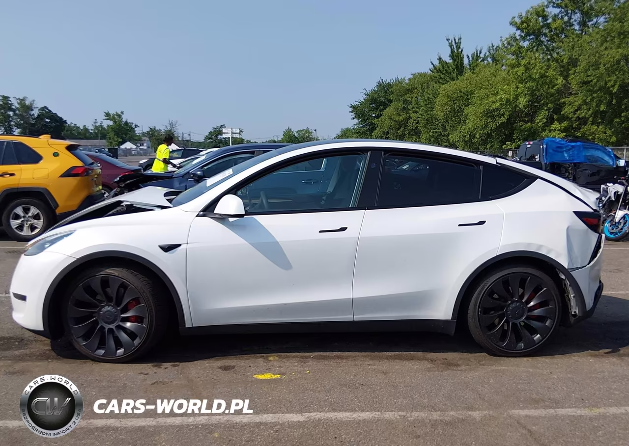 2023 Tesla Model Y Performance Dual Motor All-Wheel Drive VIN:7SAYGDEF1PF868932 - 12