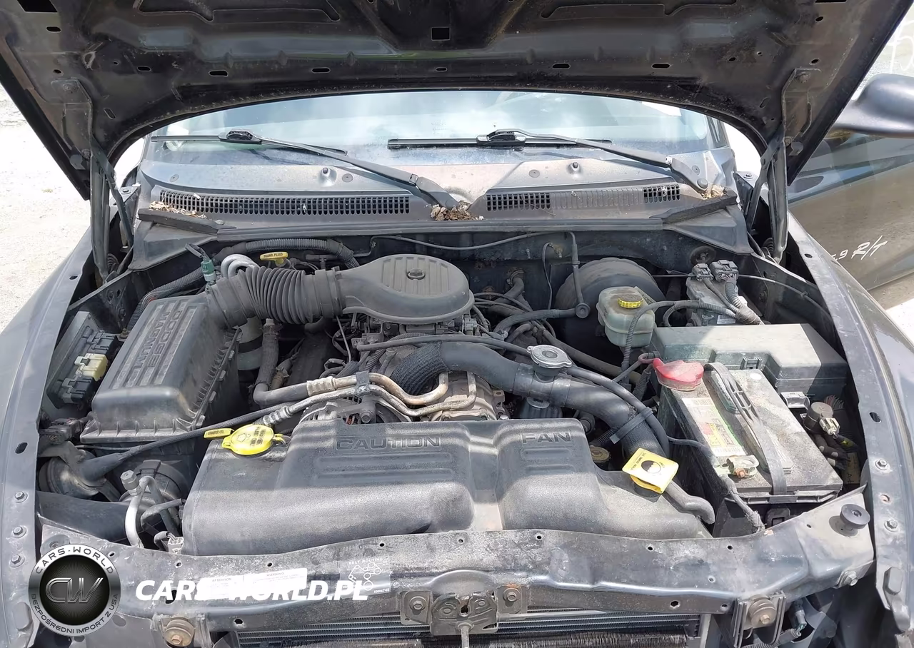 2001 Dodge Dakota Sport VIN:1B7GL22Z11S167938 - 10