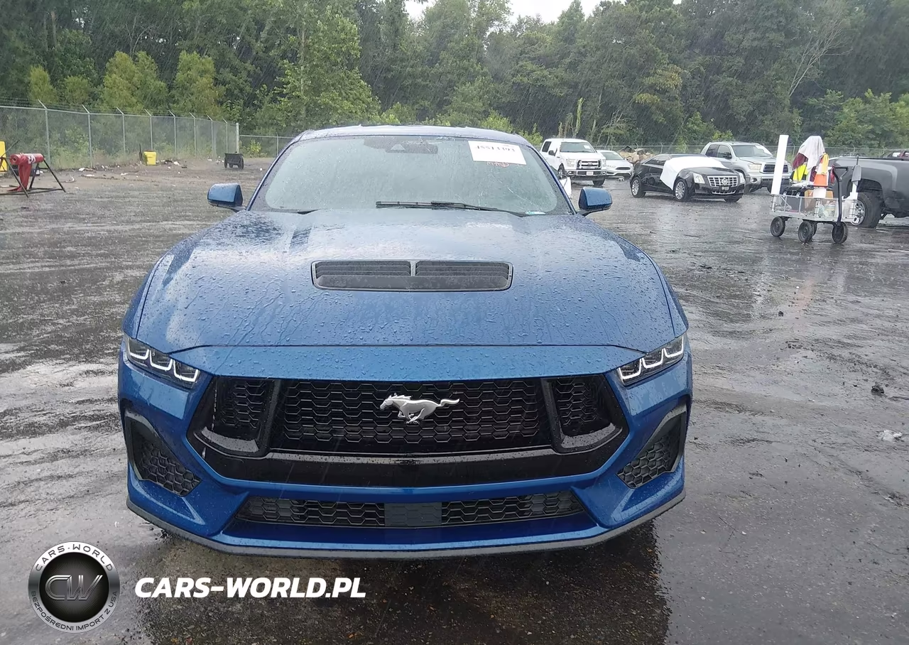 2024 Ford Mustang Gt Premium Fastback VIN:1FA6P8CF1R5401941 - 12
