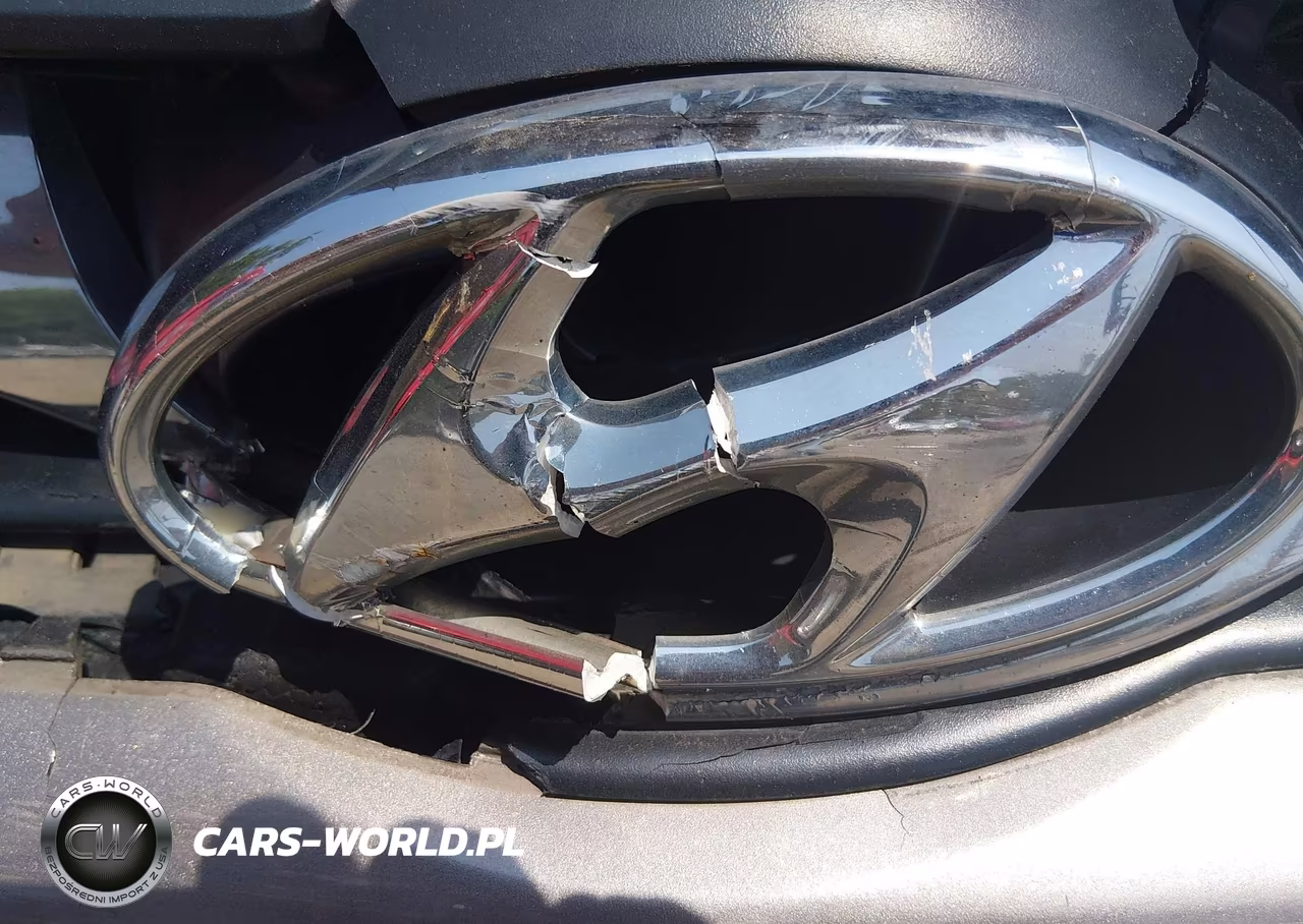 2013 Hyundai Elantra Gls VIN:5NPDH4AE3DH172396 - 14
