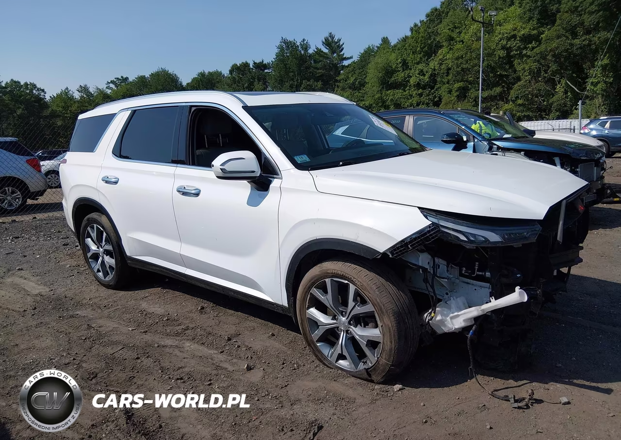 2020 Hyundai Palisade Sel – zdjęcie 1 z 16