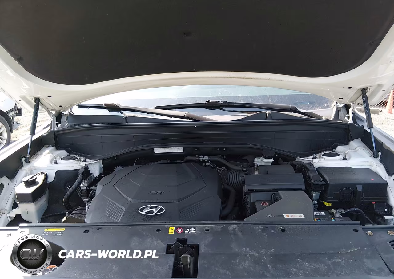 2020 Hyundai Palisade Sel VIN:KM8R4DHE2LU169562 - 10