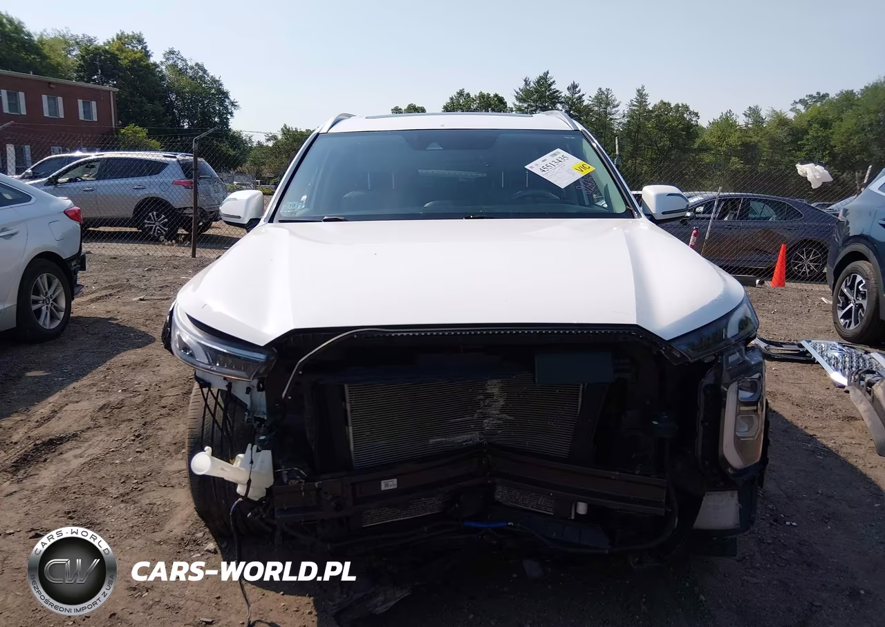 2020 Hyundai Palisade Sel VIN:KM8R4DHE2LU169562 - 12