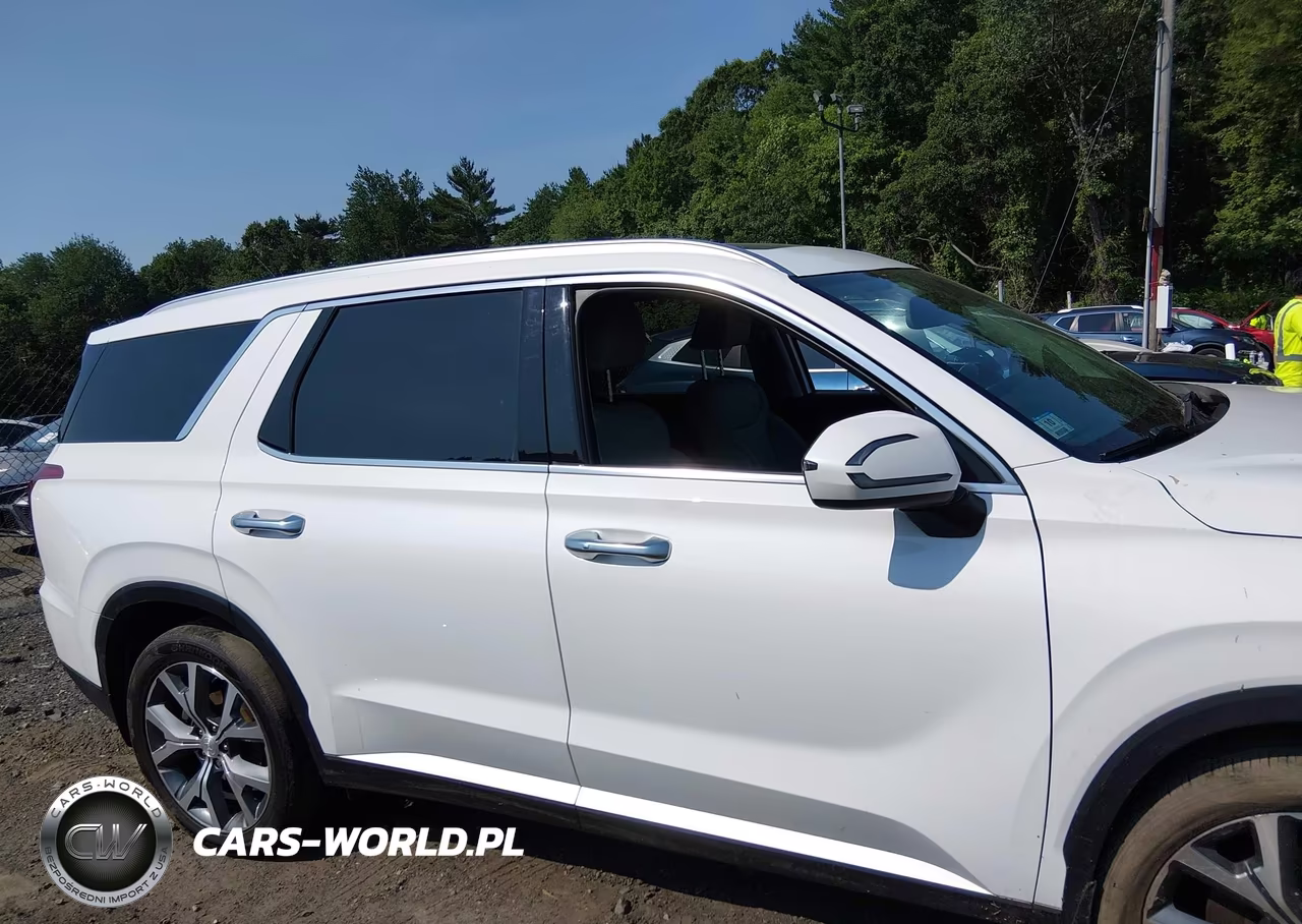 2020 Hyundai Palisade Sel VIN:KM8R4DHE2LU169562 - 13