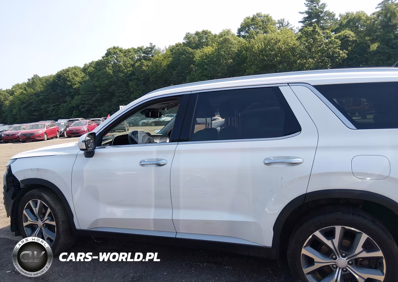 2020 Hyundai Palisade Sel VIN:KM8R4DHE2LU169562 - 14