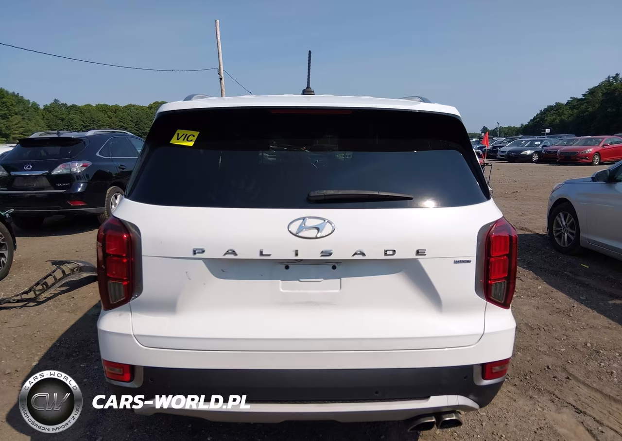 2020 Hyundai Palisade Sel VIN:KM8R4DHE2LU169562 - 16