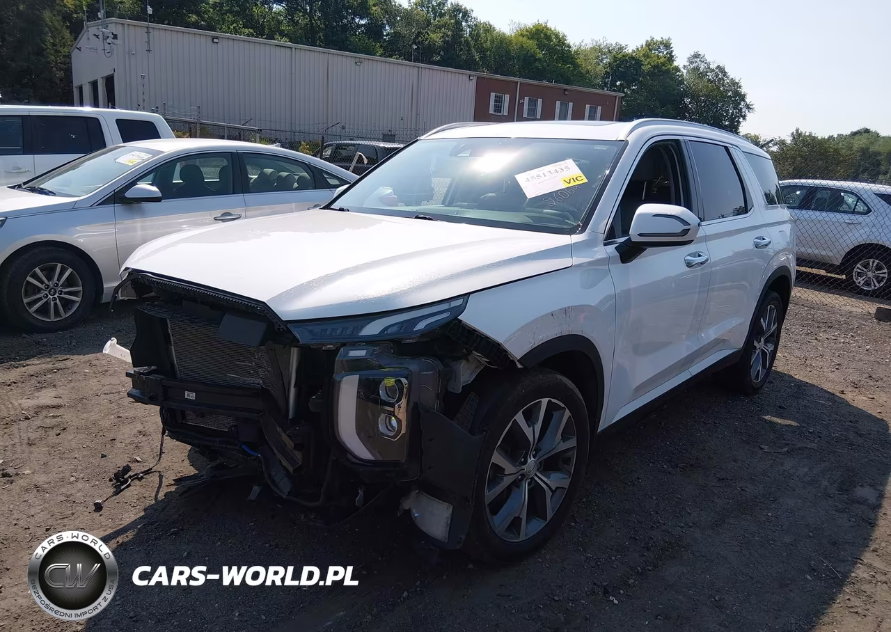 2020 Hyundai Palisade Sel VIN:KM8R4DHE2LU169562 - 2
