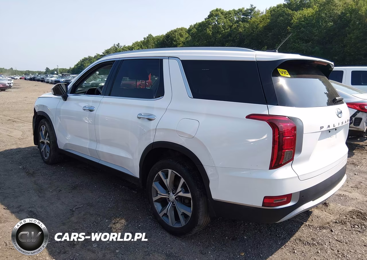 2020 Hyundai Palisade Sel VIN:KM8R4DHE2LU169562 - 3