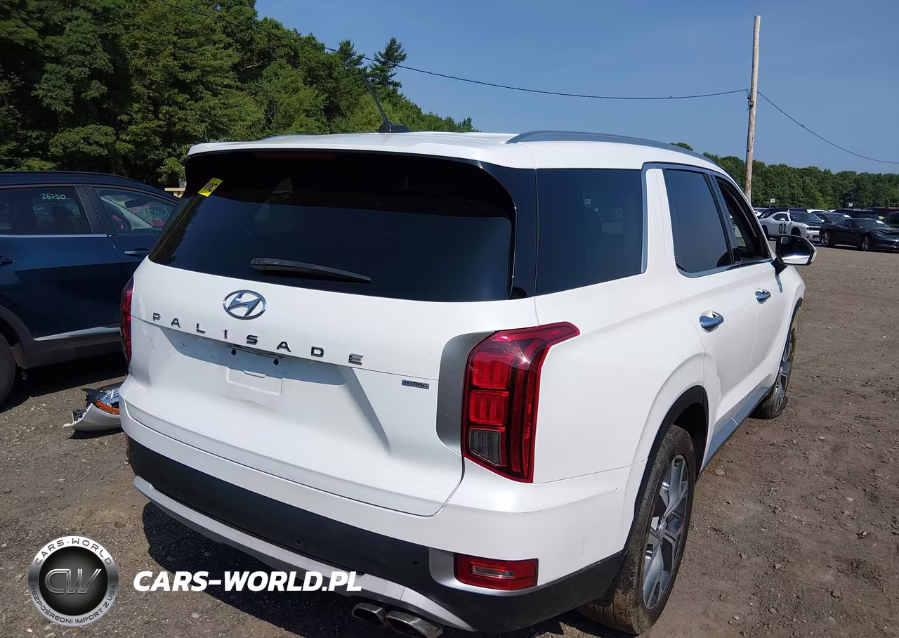 2020 Hyundai Palisade Sel VIN:KM8R4DHE2LU169562 - 4