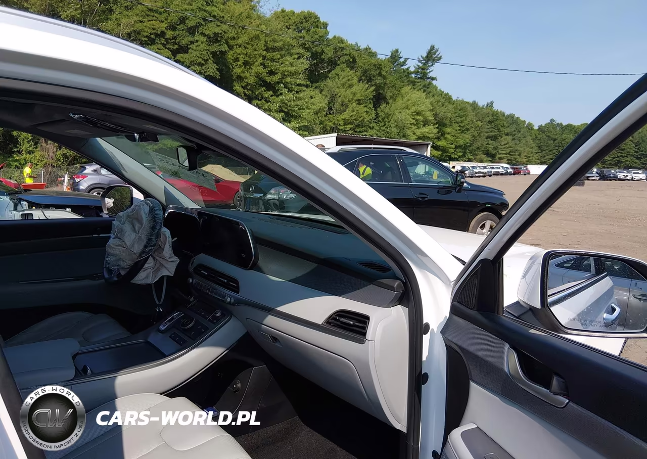 2020 Hyundai Palisade Sel VIN:KM8R4DHE2LU169562 - 5