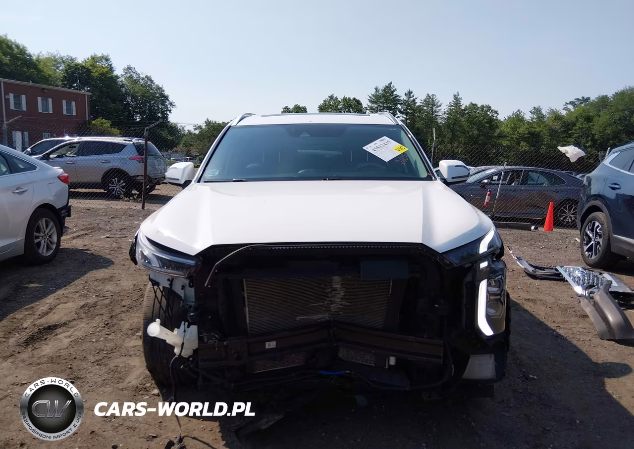 2020 Hyundai Palisade Sel VIN:KM8R4DHE2LU169562 - 6