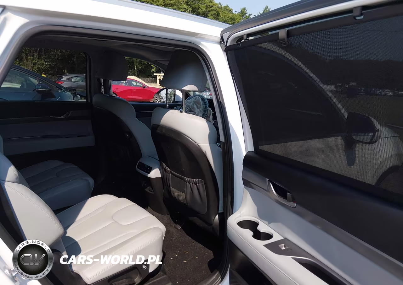 2020 Hyundai Palisade Sel VIN:KM8R4DHE2LU169562 - 8
