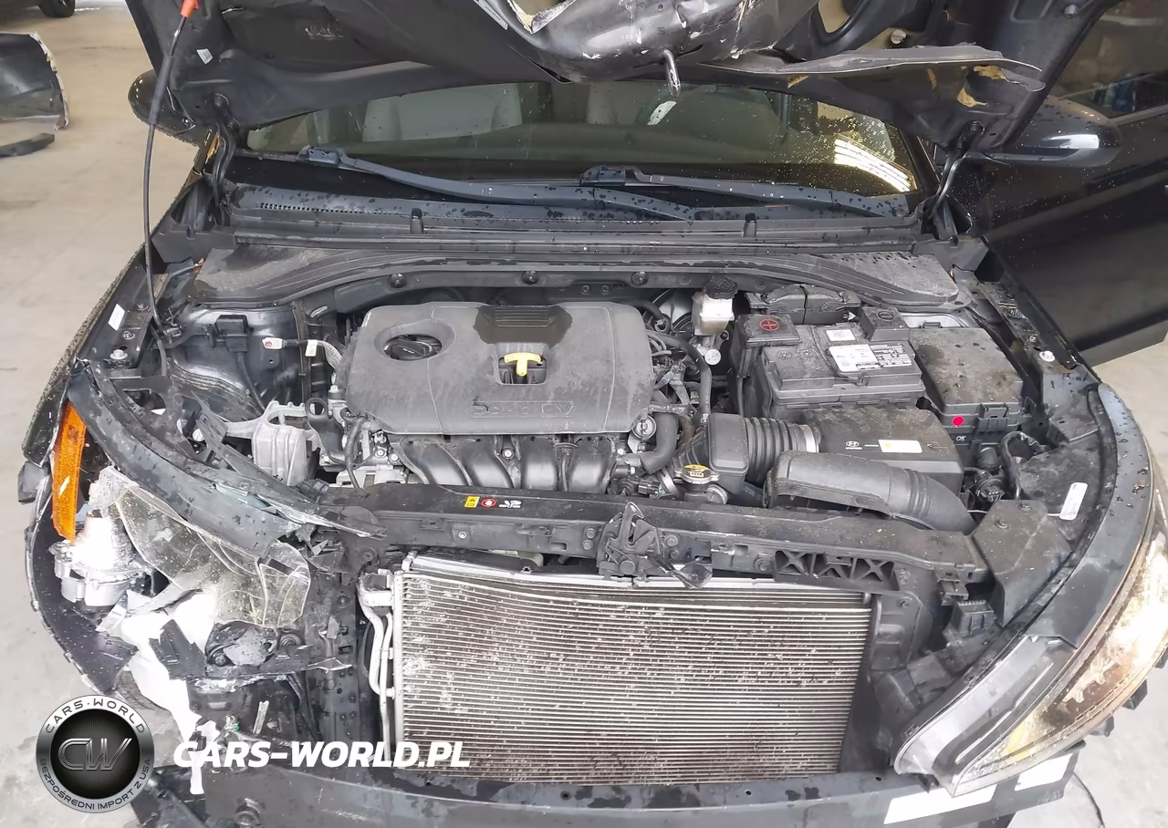 2019 Hyundai Elantra Sel VIN:KMHD84LF4KU843367 - 10