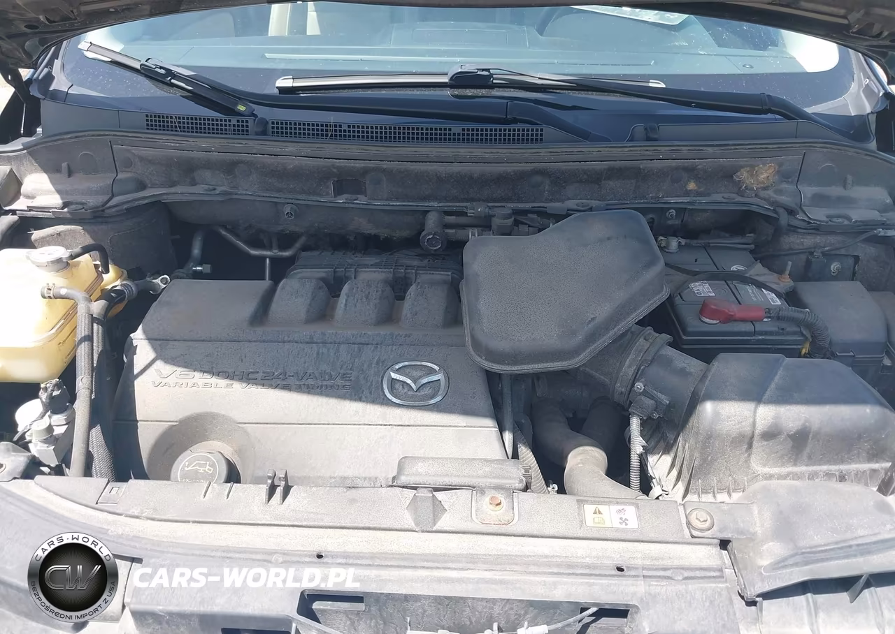 2011 Mazda Cx-9 Touring VIN:JM3TB3CA4B0320557 - 10
