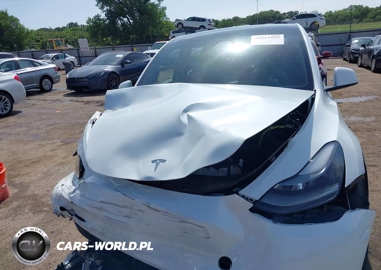 2024 Tesla Model Y Long Range Dual Motor All-Wheel Drive VIN:7SAYGDEE6RA261013 - 12