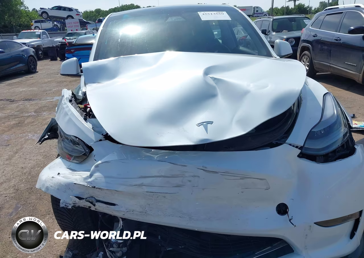 2024 Tesla Model Y Long Range Dual Motor All-Wheel Drive VIN:7SAYGDEE6RA261013 - 6