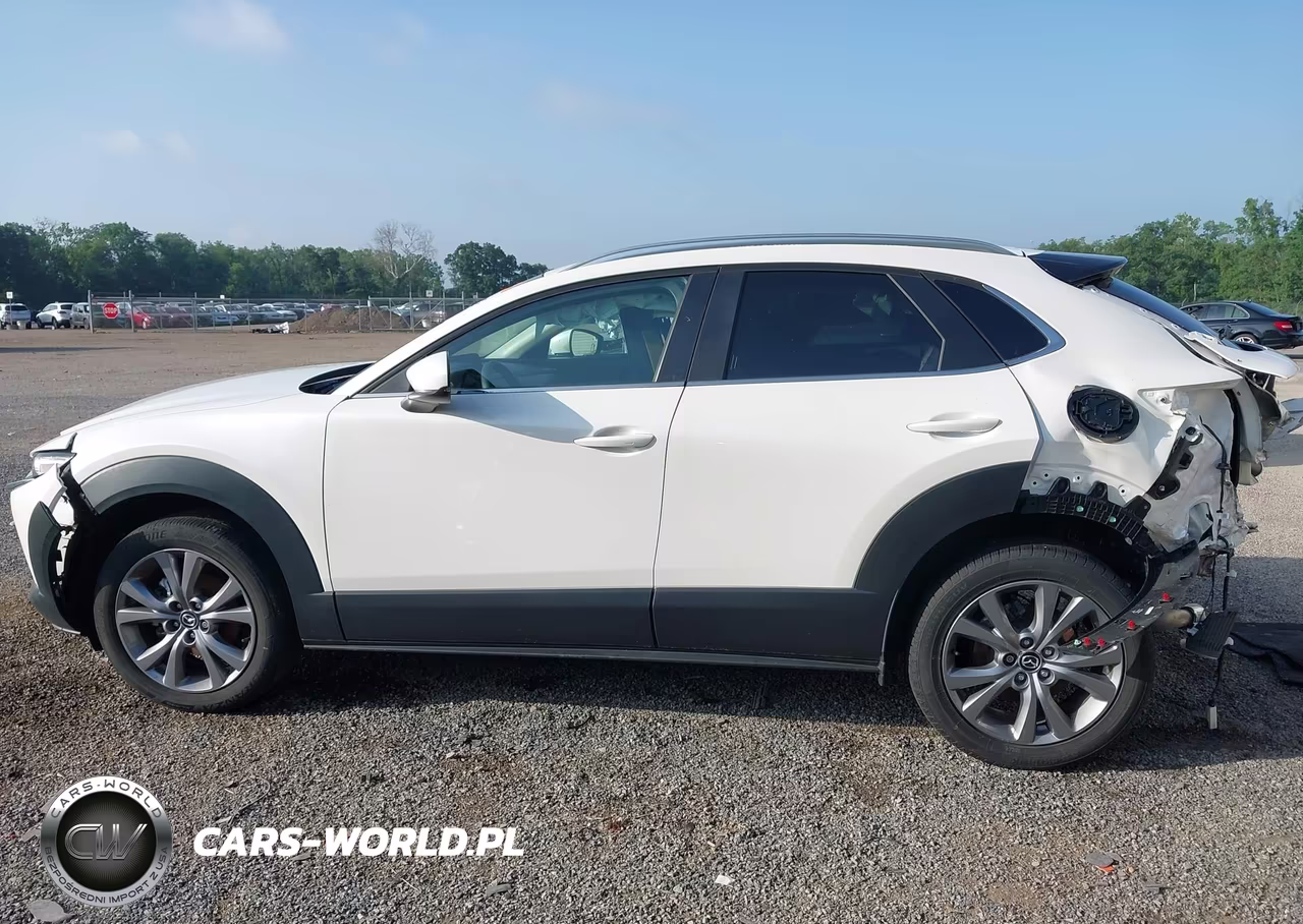 2024 Mazda Cx-30 2.5 S Preferred Package VIN:3MVDMBCM1RM640212 - 15