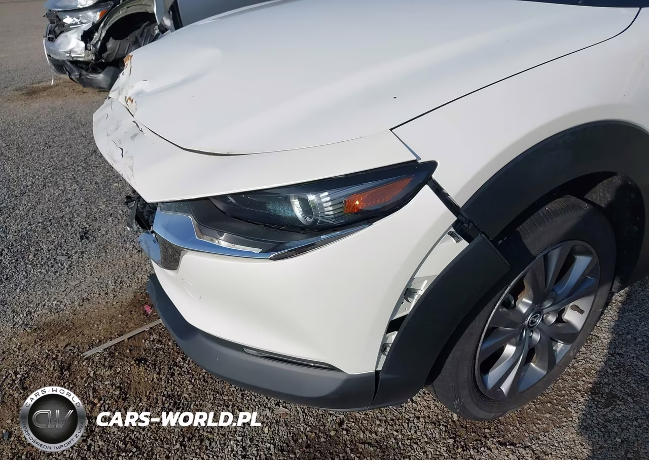 2024 Mazda Cx-30 2.5 S Preferred Package VIN:3MVDMBCM1RM640212 - 18