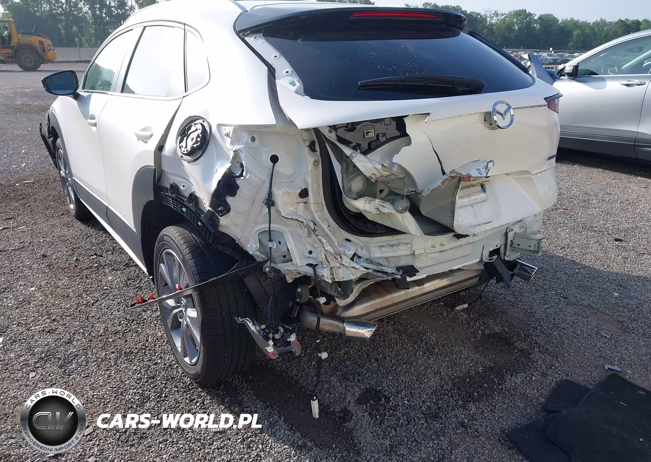 2024 Mazda Cx-30 2.5 S Preferred Package VIN:3MVDMBCM1RM640212 - 19