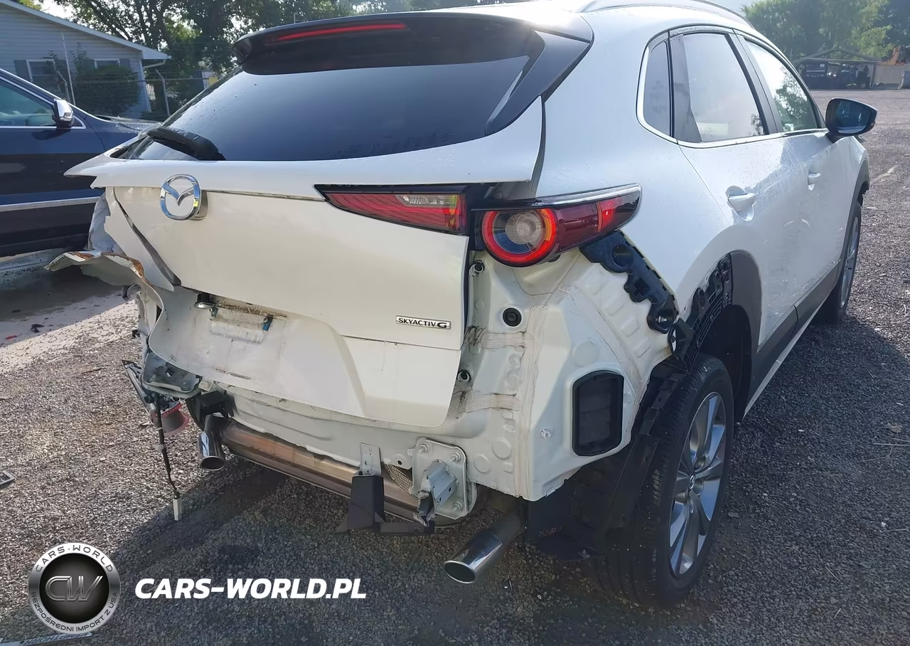 2024 Mazda Cx-30 2.5 S Preferred Package VIN:3MVDMBCM1RM640212 - 20