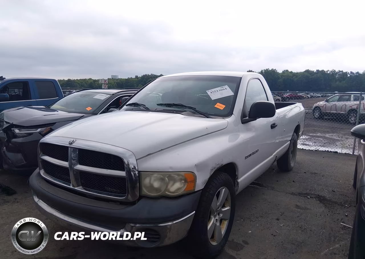 2002 Dodge Ram 1500 St VIN:1D7HA16N62J138380 - 2