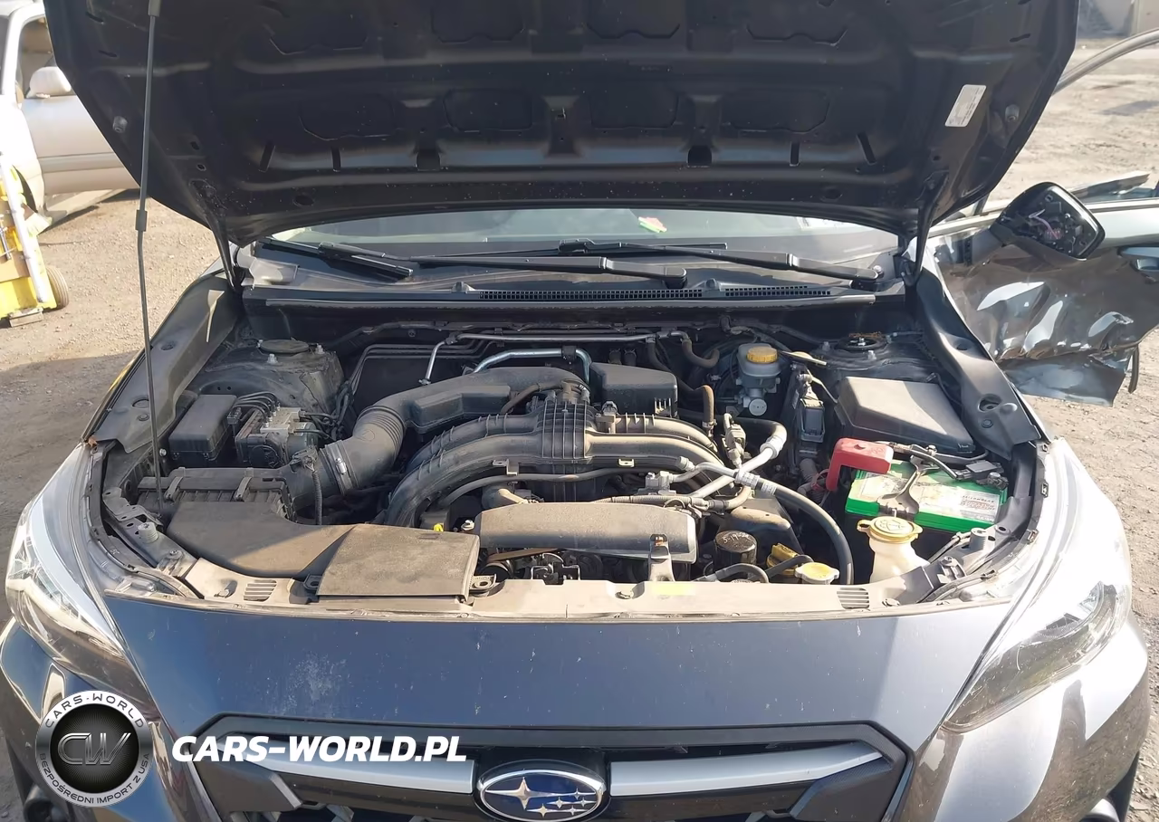 2019 Subaru Crosstrek 2.0I VIN:JF2GTAAC4K8287045 - 10