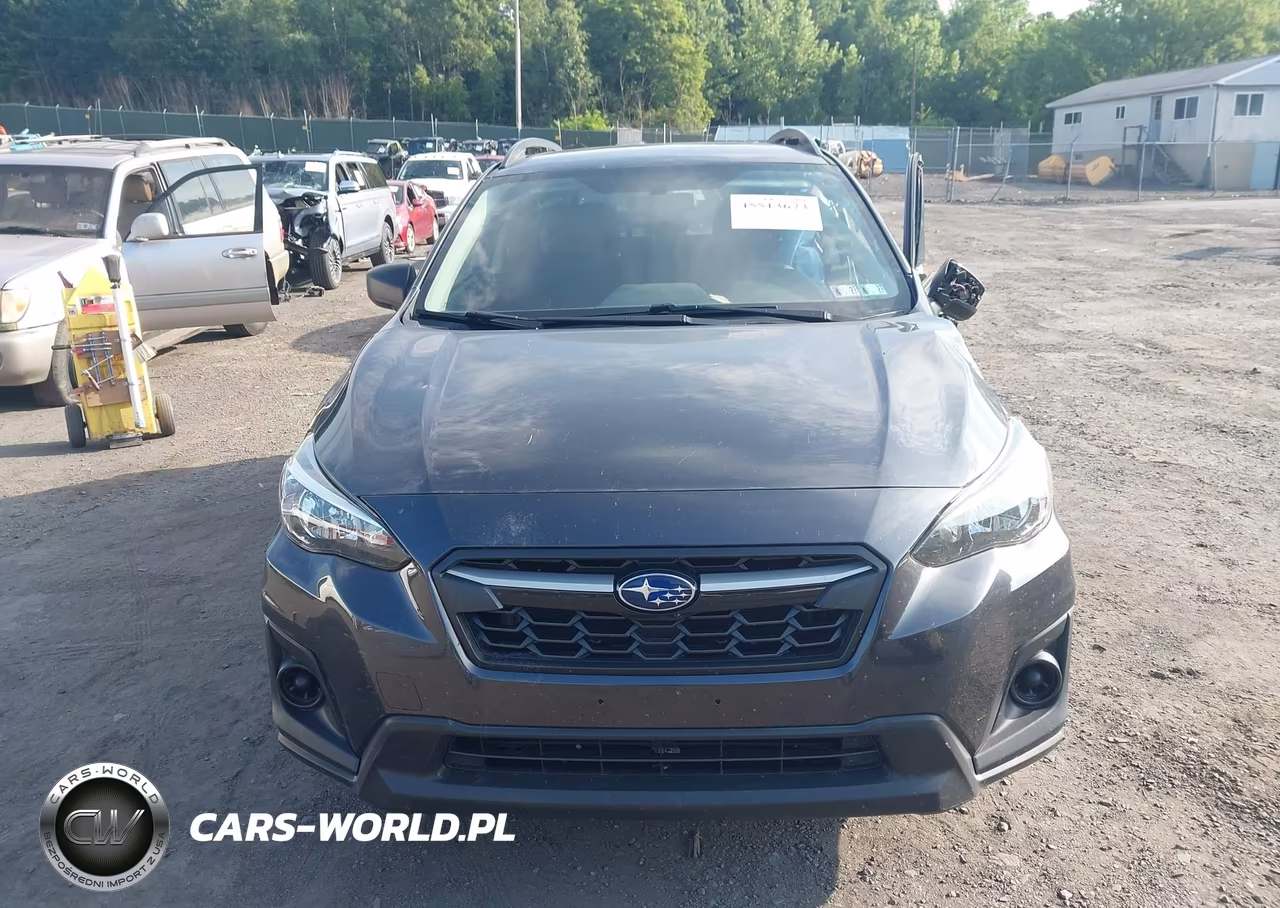 2019 Subaru Crosstrek 2.0I VIN:JF2GTAAC4K8287045 - 12